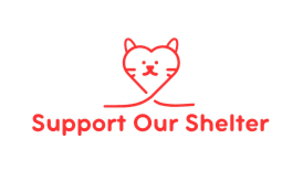 Support Our Shelter ❤️